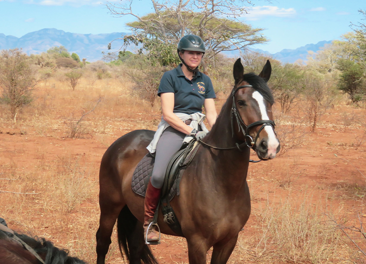 PauwelWAL Horses