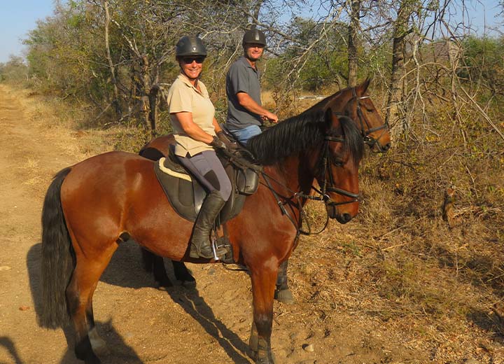 PeroniWAL Horses
