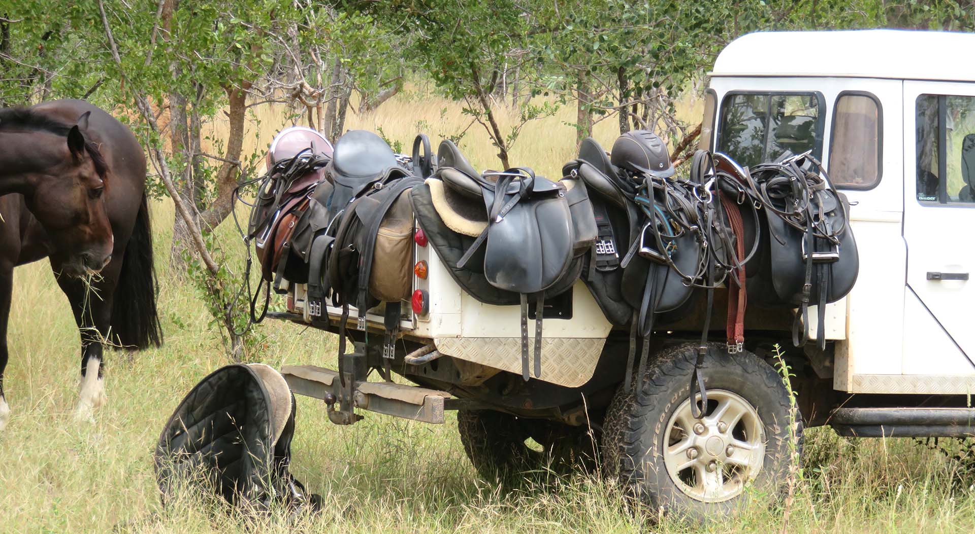 Saddles