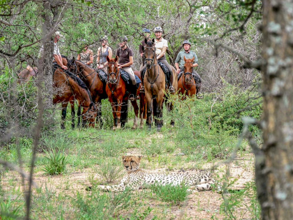 WAL_Ride and Dine Safari-32