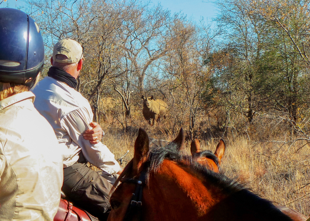 WAL_Ride and Dine Safari-8