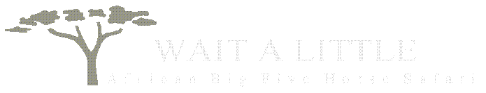 Wait A Little
